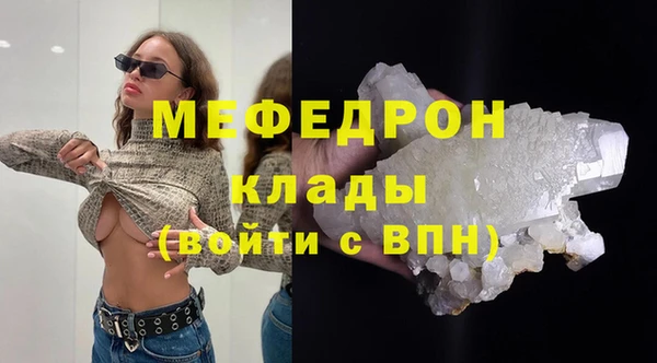 индика Краснослободск