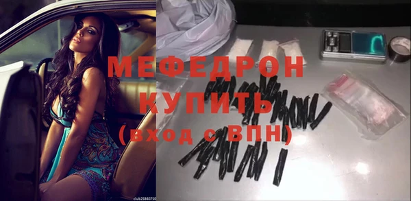 индика Краснослободск