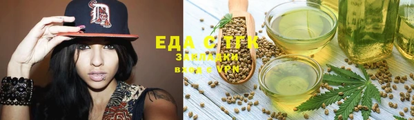 индика Краснослободск