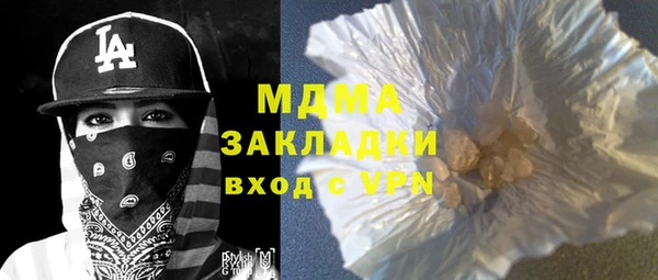 индика Краснослободск