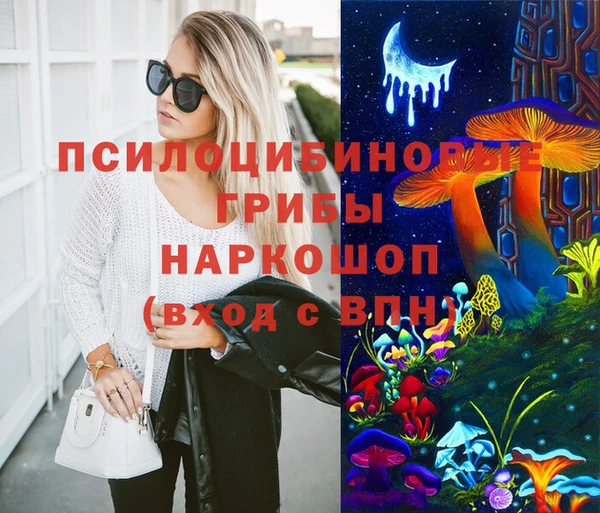индика Краснослободск