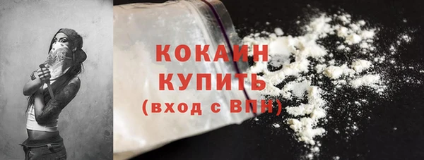 индика Краснослободск