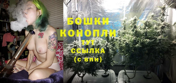 мяу мяу кристалл Аша