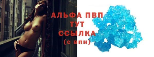 индика Краснослободск