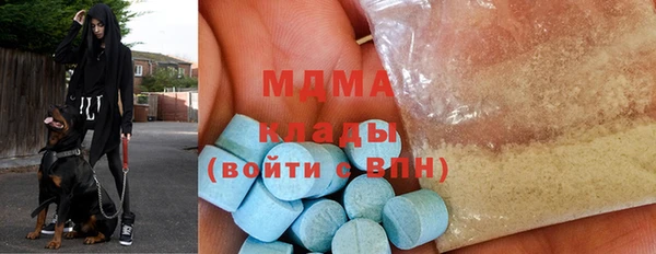 индика Краснослободск