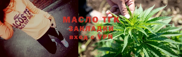 индика Краснослободск