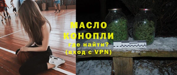 индика Краснослободск