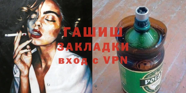 индика Краснослободск