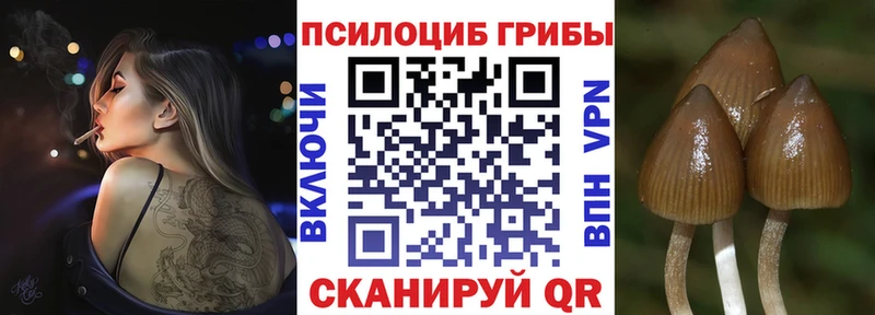 Псилоцибиновые грибы Magic Shrooms  наркошоп  Лабытнанги 